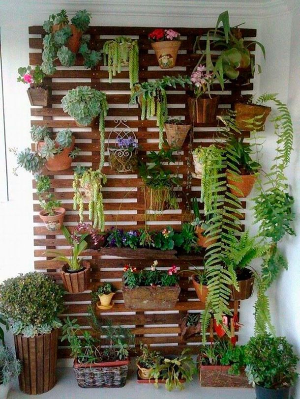 20+ Amazing Vertical Gardens For Your Balcony