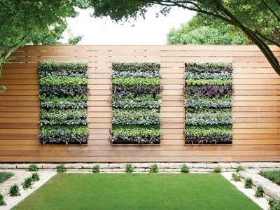 15+ Superb Wall Gardens To Enhance Your Yard