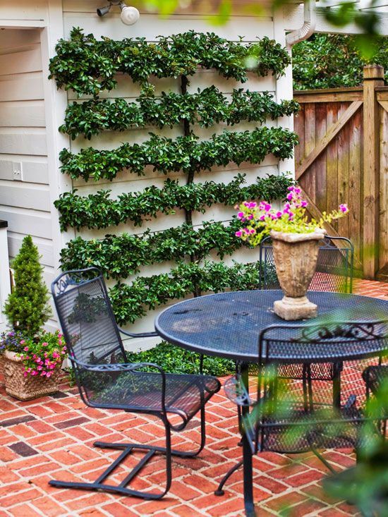 15+ Superb Wall Gardens To Enhance Your Yard