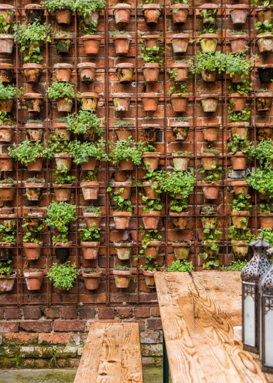 15+ Superb Wall Gardens To Enhance Your Yard