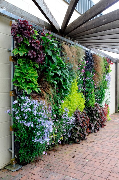 15+ Superb Wall Gardens To Enhance Your Yard