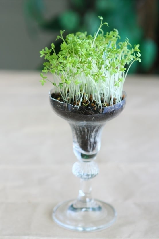 Clever Things To Do With Wine Glasses