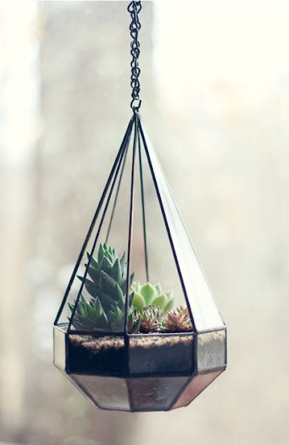 15+ Home Decor With Wonderful Terrarium