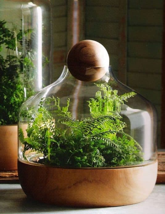 15+ Home Decor With Wonderful Terrarium