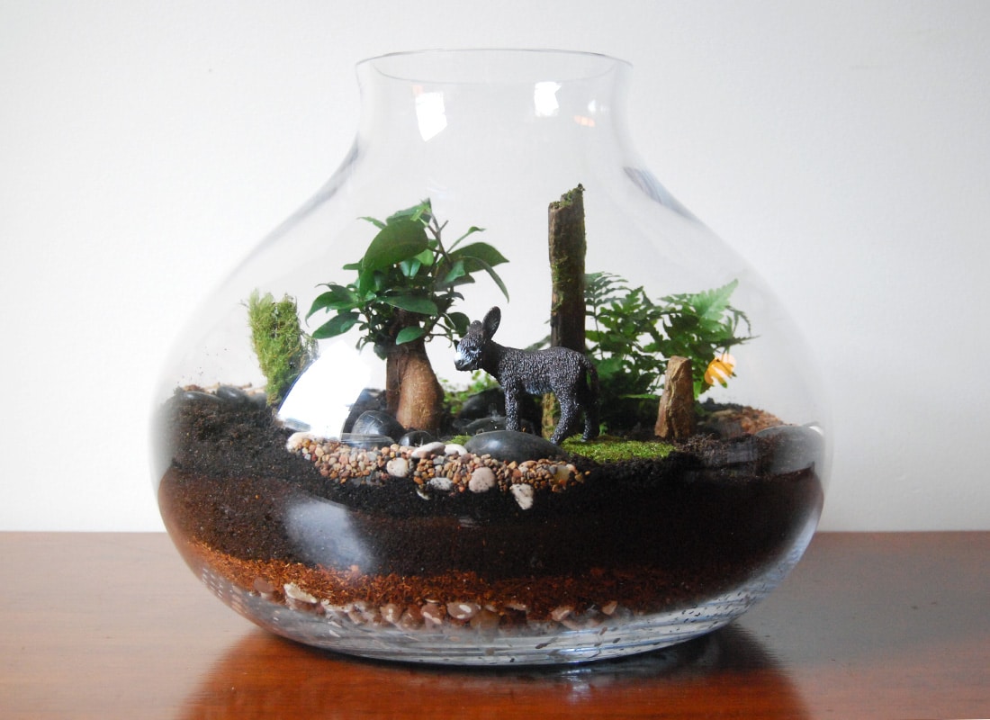 15+ Home Decor With Wonderful Terrarium