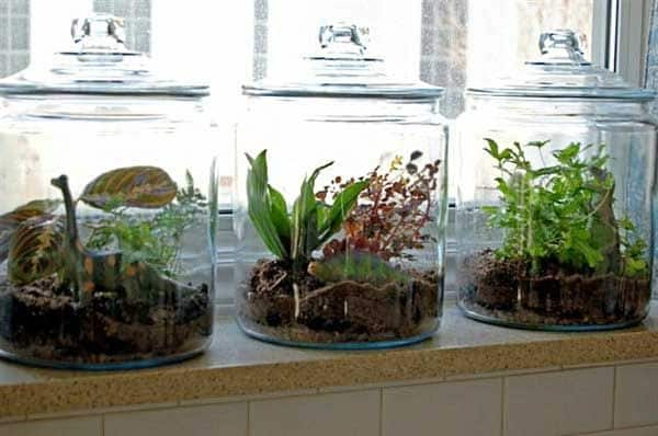 15+ Home Decor With Wonderful Terrarium