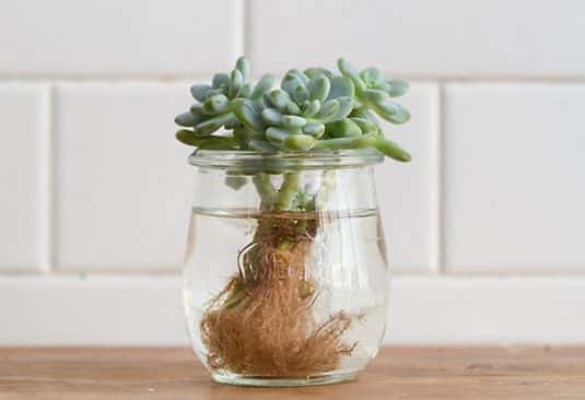 15+ Home Decor With Wonderful Terrarium