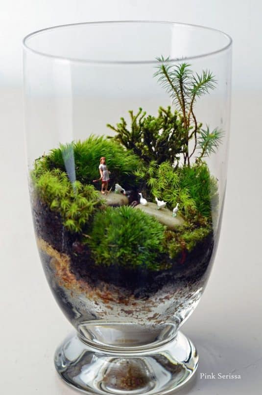 15+ Home Decor With Wonderful Terrarium