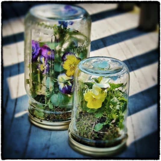 15+ Home Decor With Wonderful Terrarium