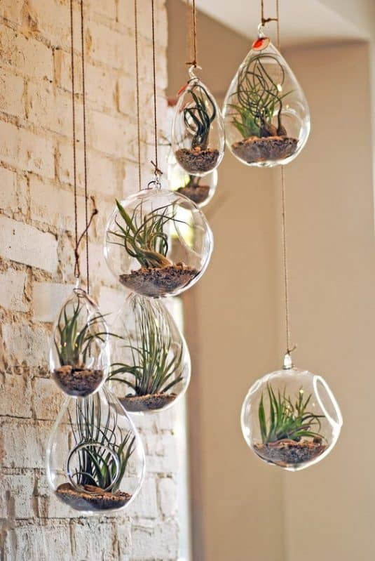 15+ Home Decor With Wonderful Terrarium