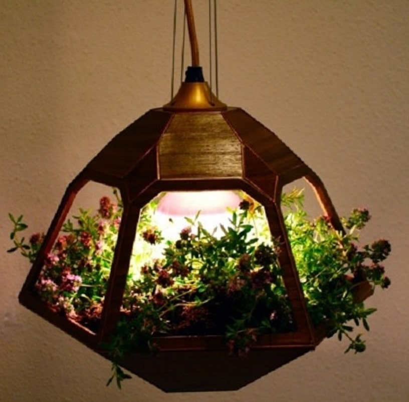 15+ Home Decor With Wonderful Terrarium