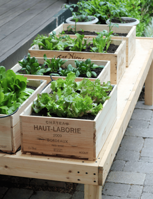 12+ DIY Wooden Crates For Your Garden