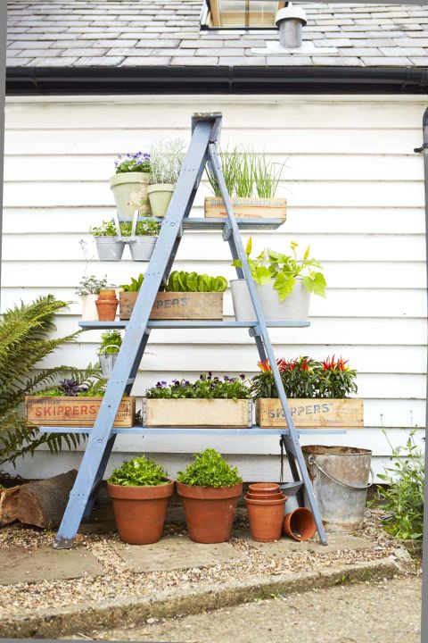 15+ Impressive Ideas to Make Wooden Ladder Garden